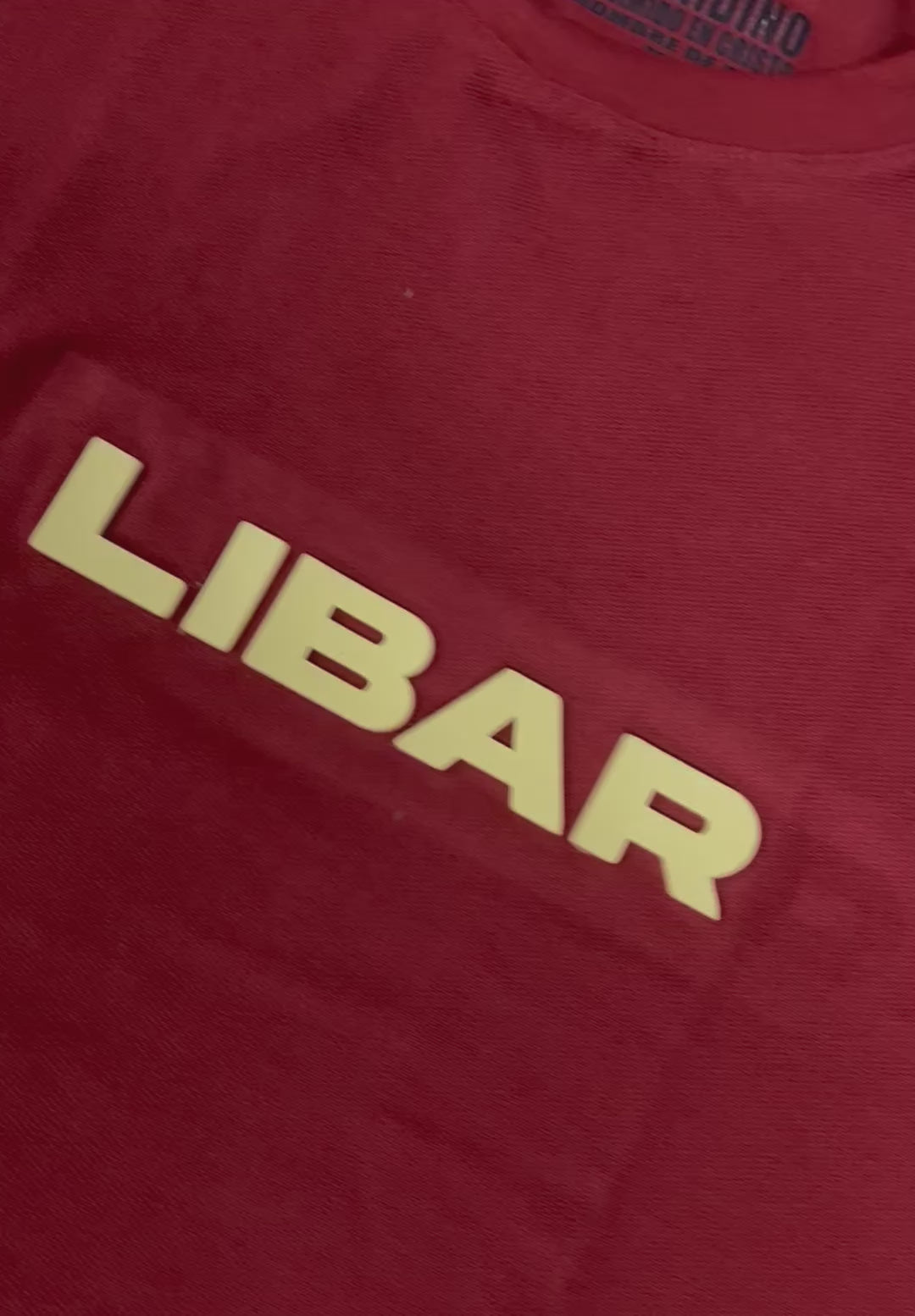 Camisa Oversize Libar Terracota